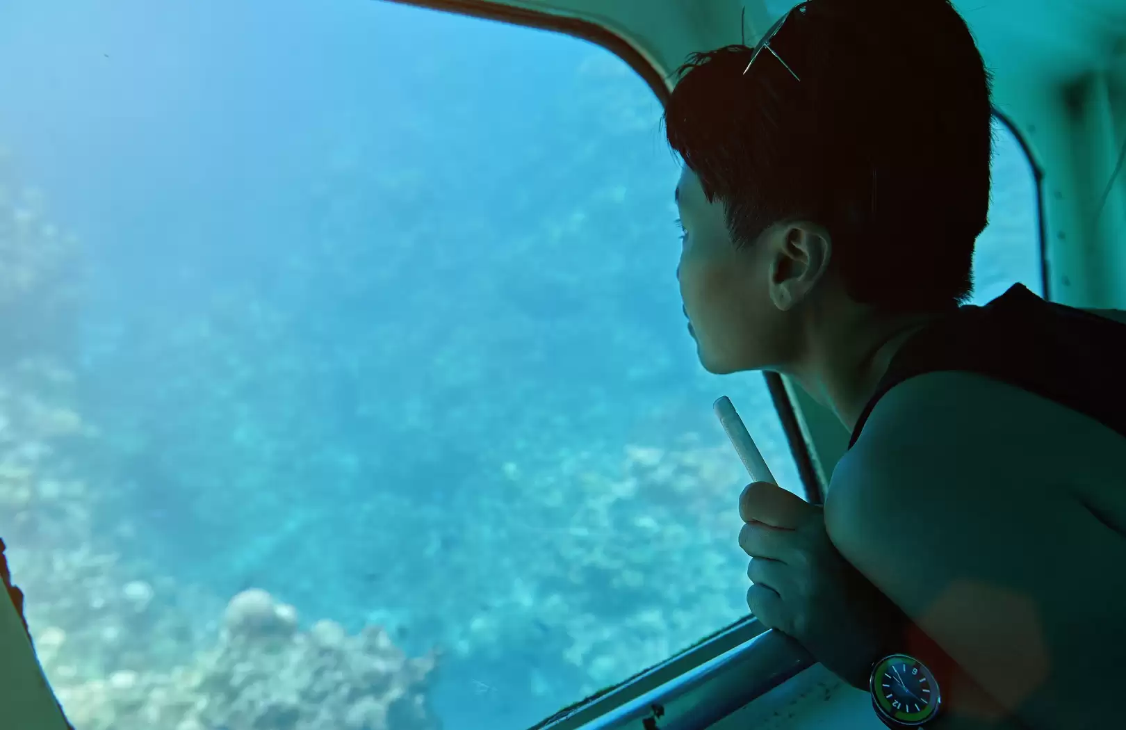 Glass Bottom Boat and Turtle Island Tour