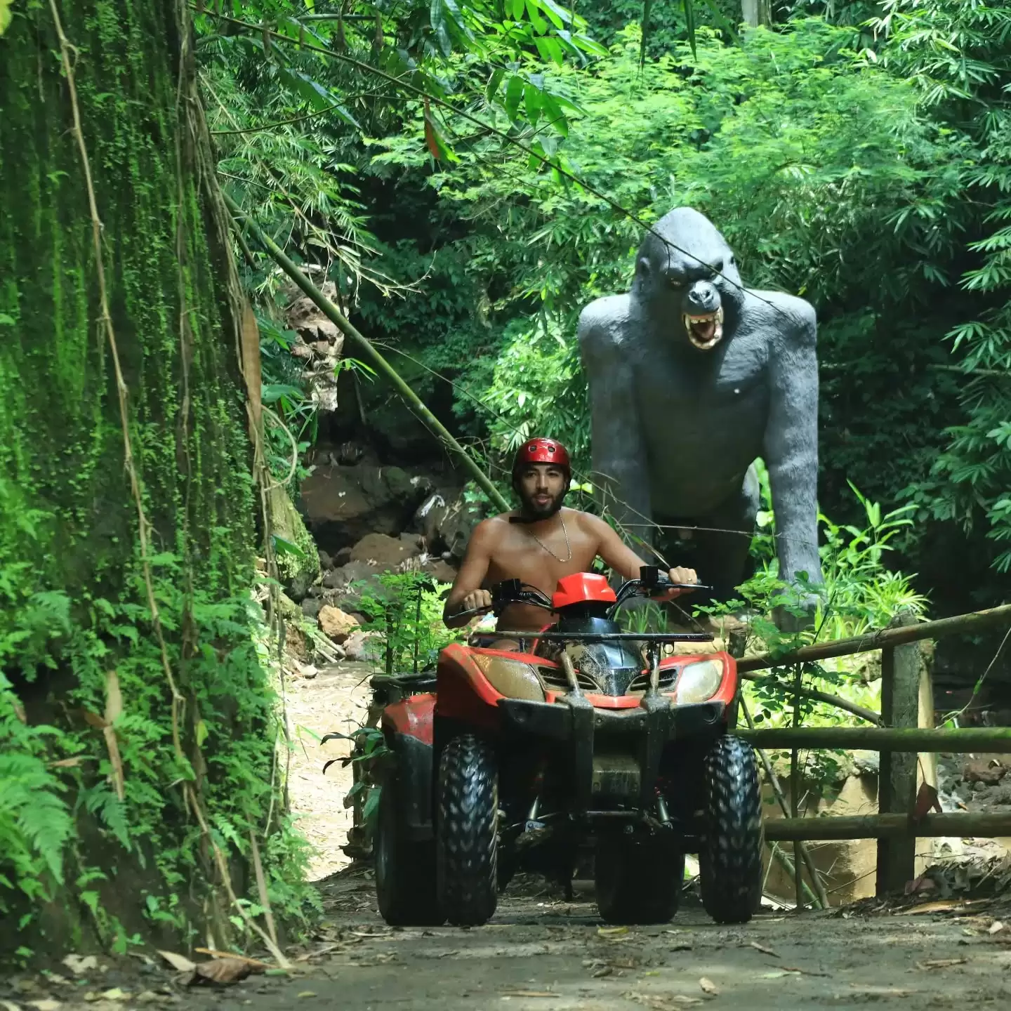 Ubud Quad Bike Adventure & Best of Ubud Day Tour