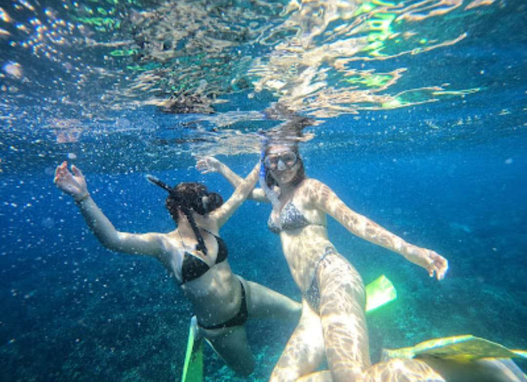 Private Snorkeling Experience: Gamat Bay to GT Point4