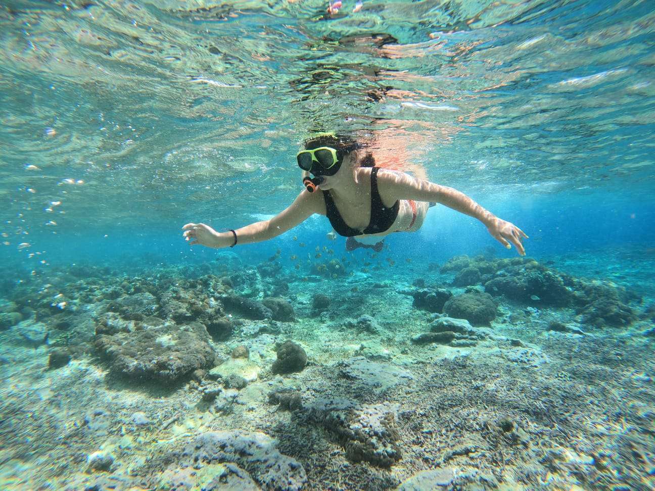 Private Snorkeling Experience: Gamat Bay to GT Point3