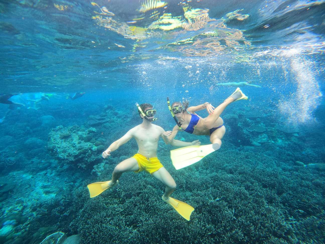 Private Snorkeling Experience: Gamat Bay to GT Point2