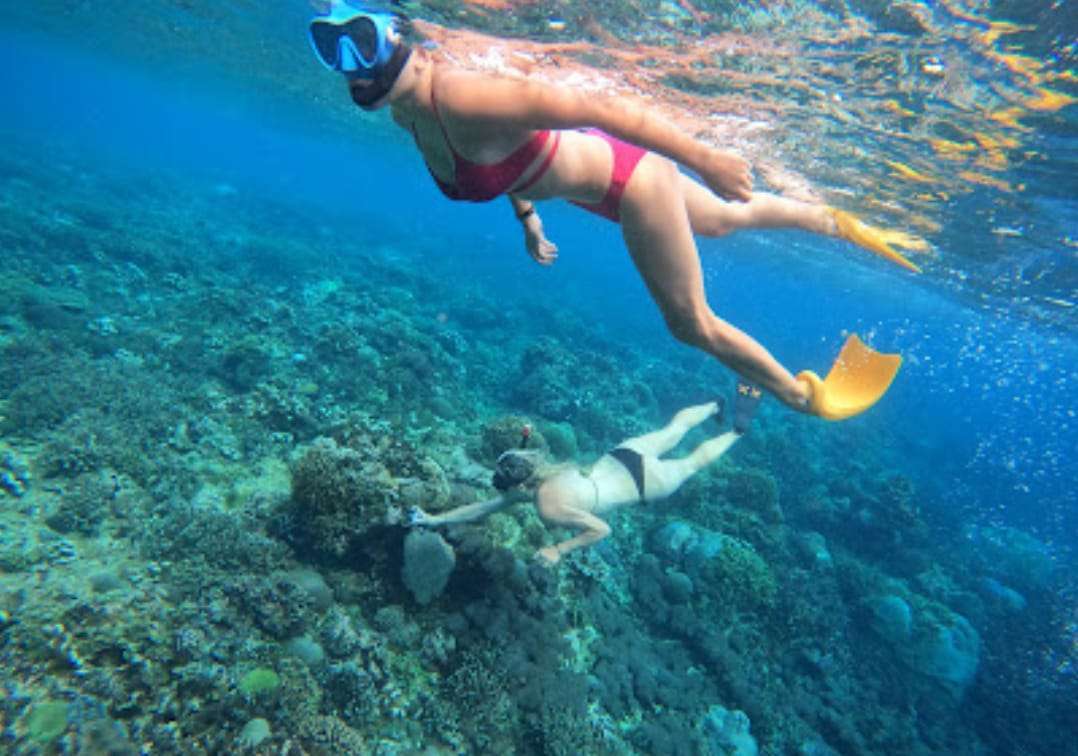 Private Snorkeling Experience: Gamat Bay to GT Point1