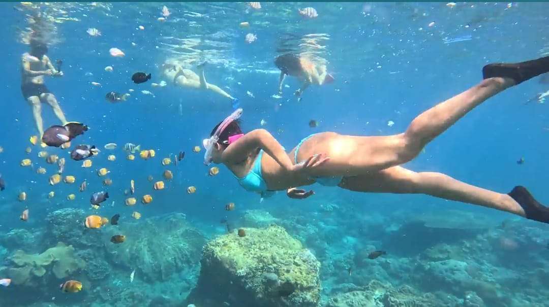 Private Snorkeling Experience: Gamat Bay to GT Point5