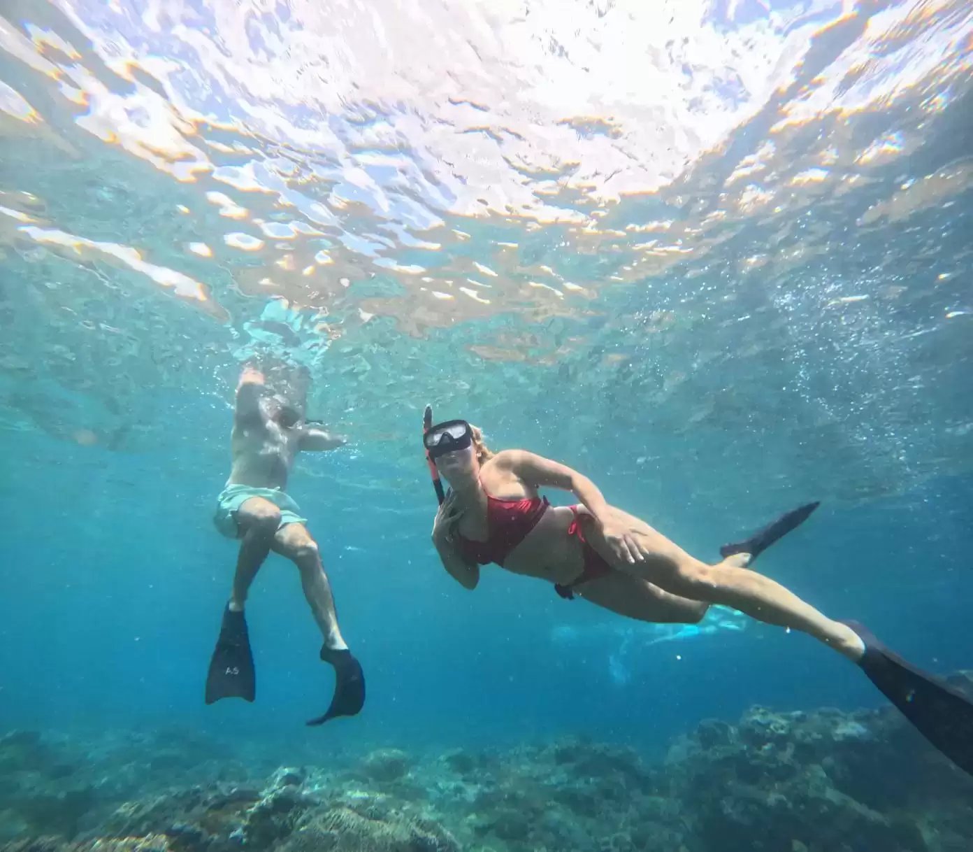 Private Snorkeling Tour: Crystal Bay to SD Point