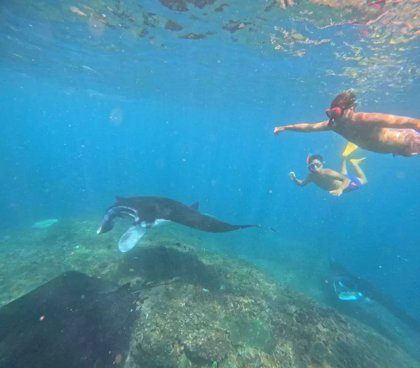 Private Snorkeling Tour: Manta Point to SD Point1
