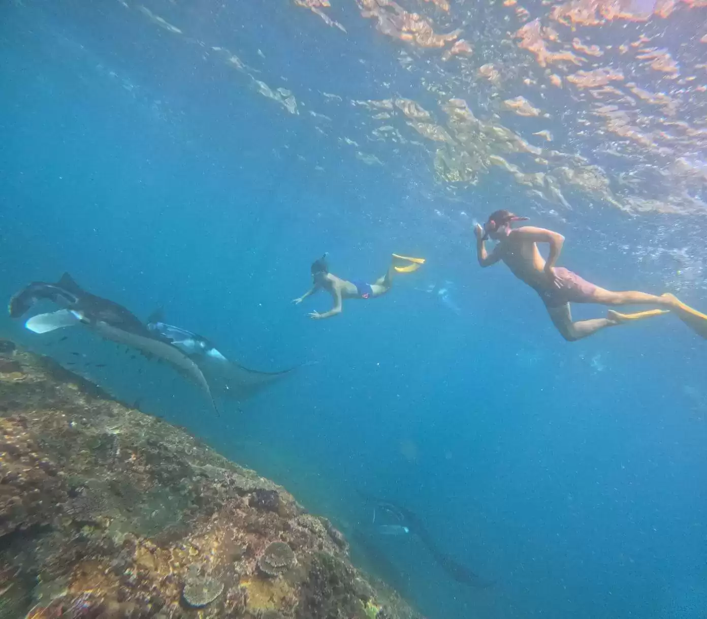 Private Snorkeling Tour: Manta Point to SD Point5