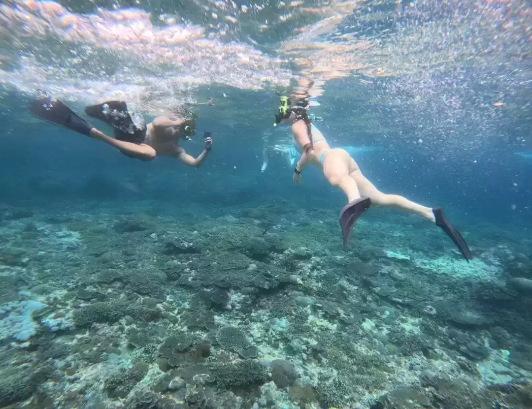Private Snorkeling Tour: Manta Point to SD Point3