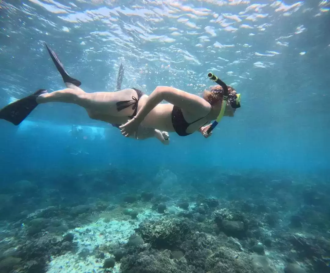 Private Snorkeling Tour: Manta Point to SD Point4