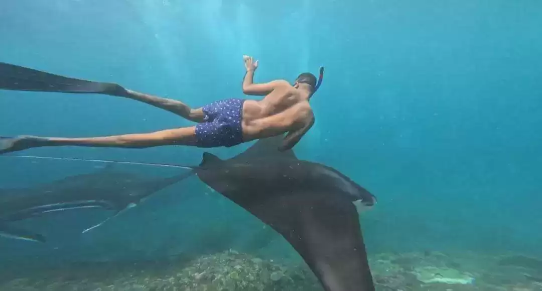 Private Snorkeling Tour: Manta Point to SD Point7