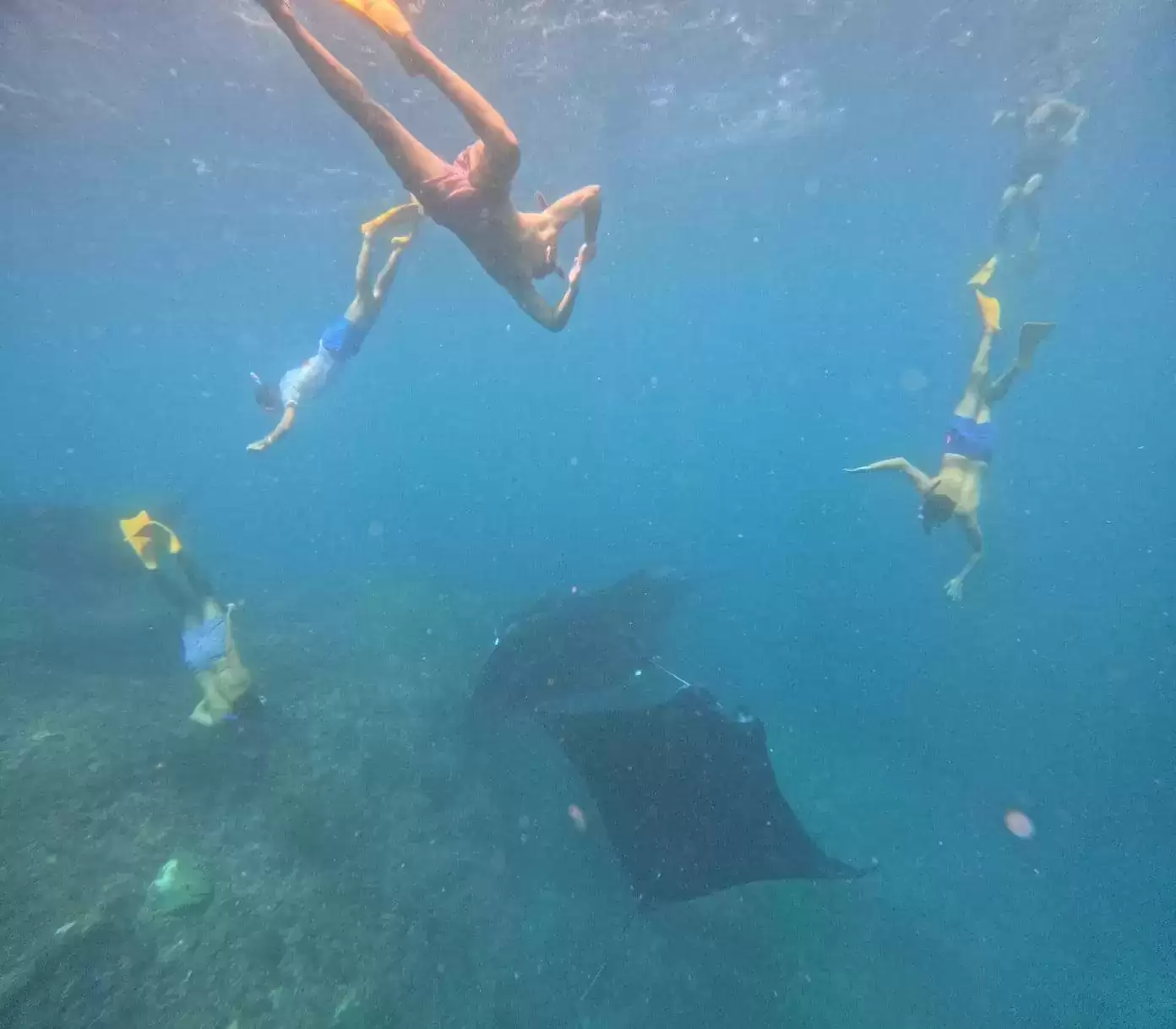 Private Snorkeling Tour: Manta Point to SD Point6