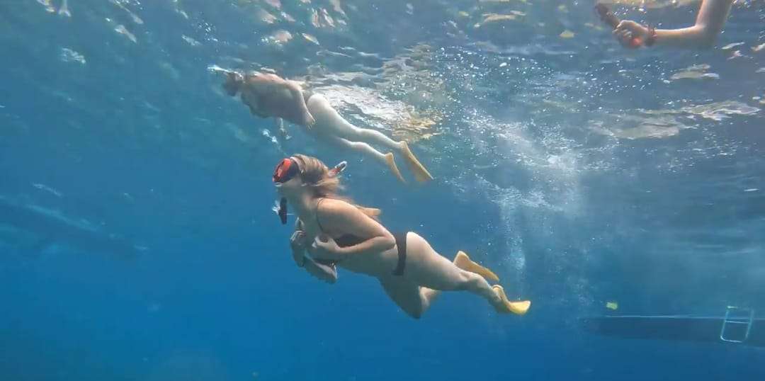 Manta Bay Public Snorkeling Tour3