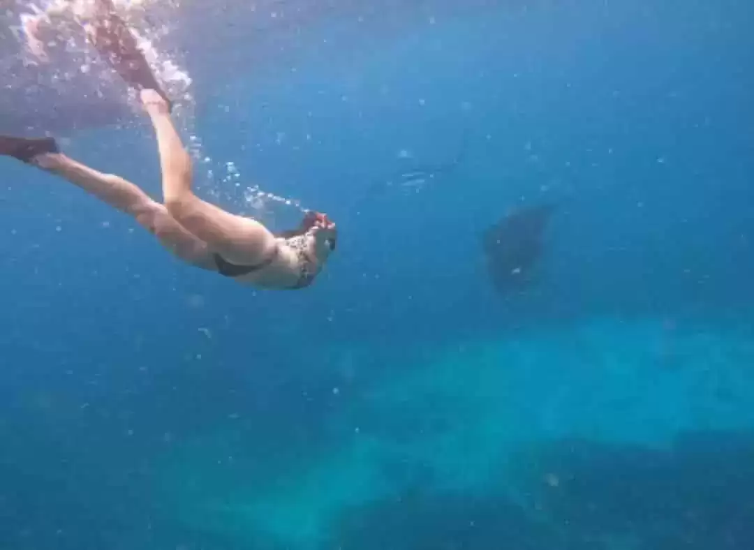 Manta Bay Public Snorkeling Tour5