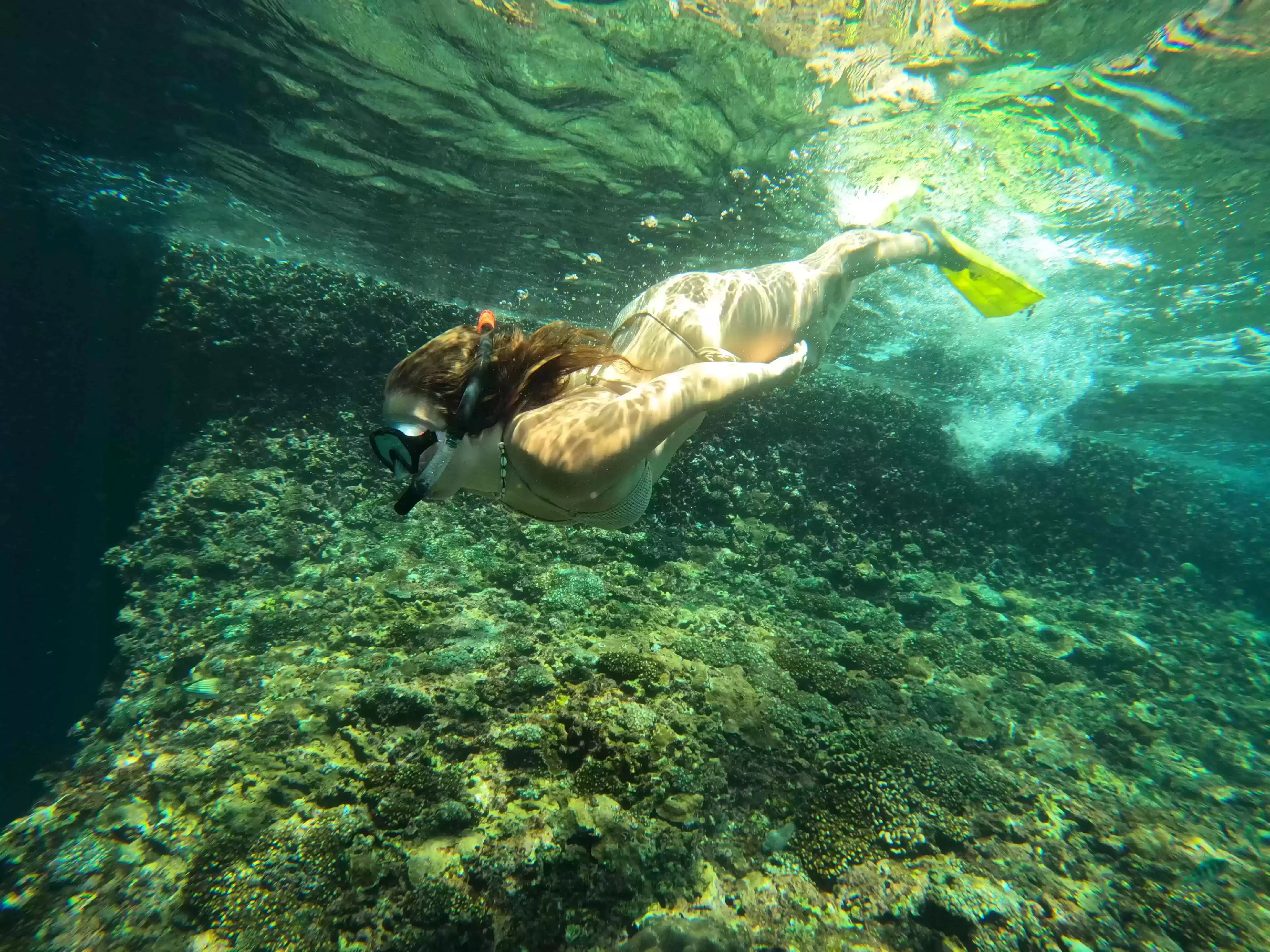 Manta Bay Public Snorkeling Tour6