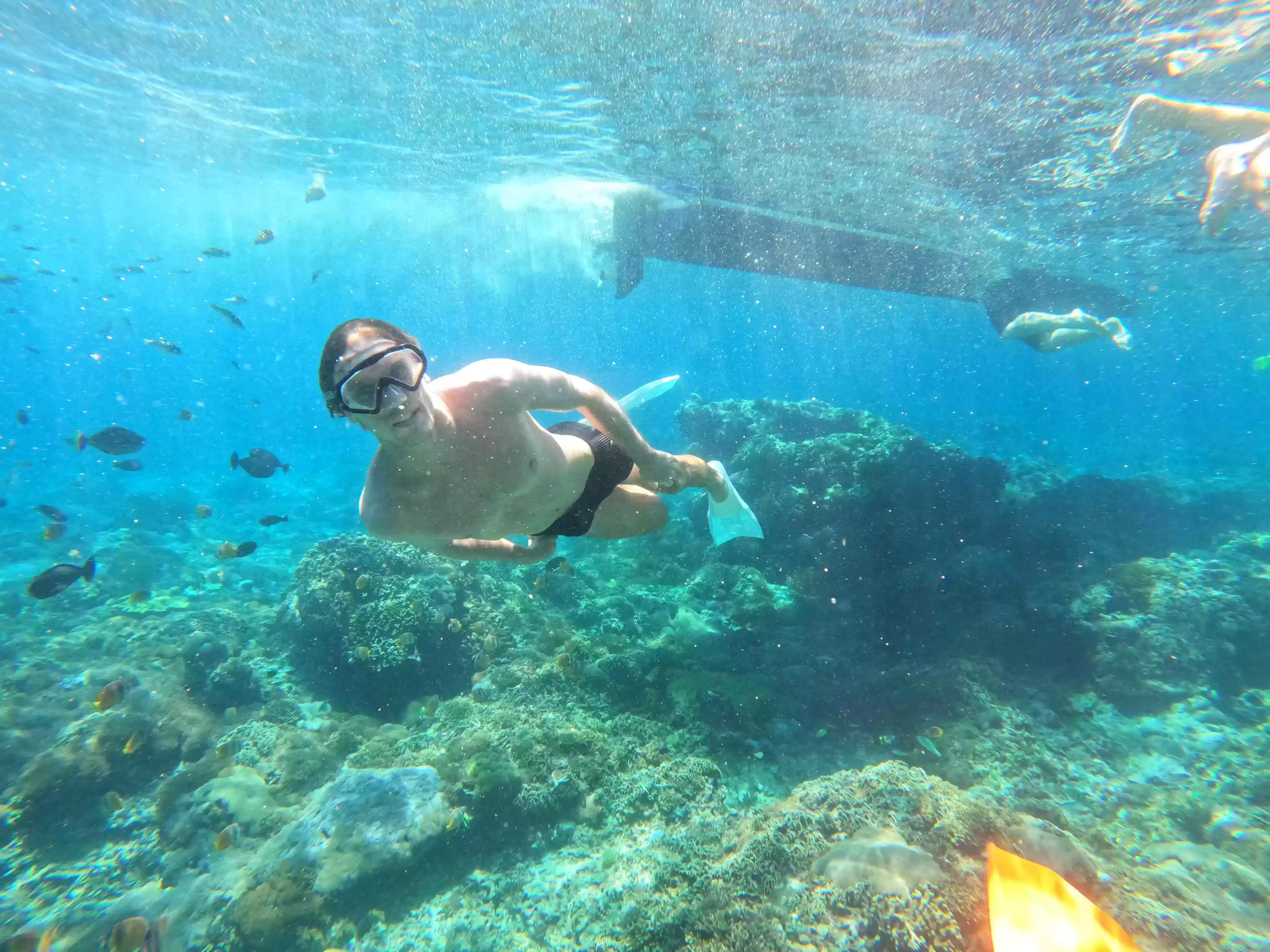 Manta Bay Public Snorkeling Tour7