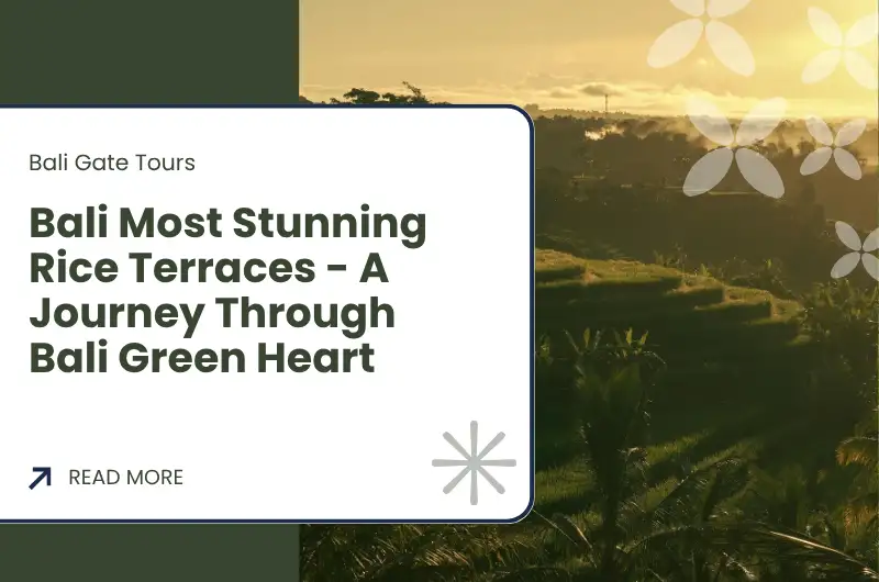 Bali Most Stunning Rice Terraces - A Journey Through Bali Green Heart