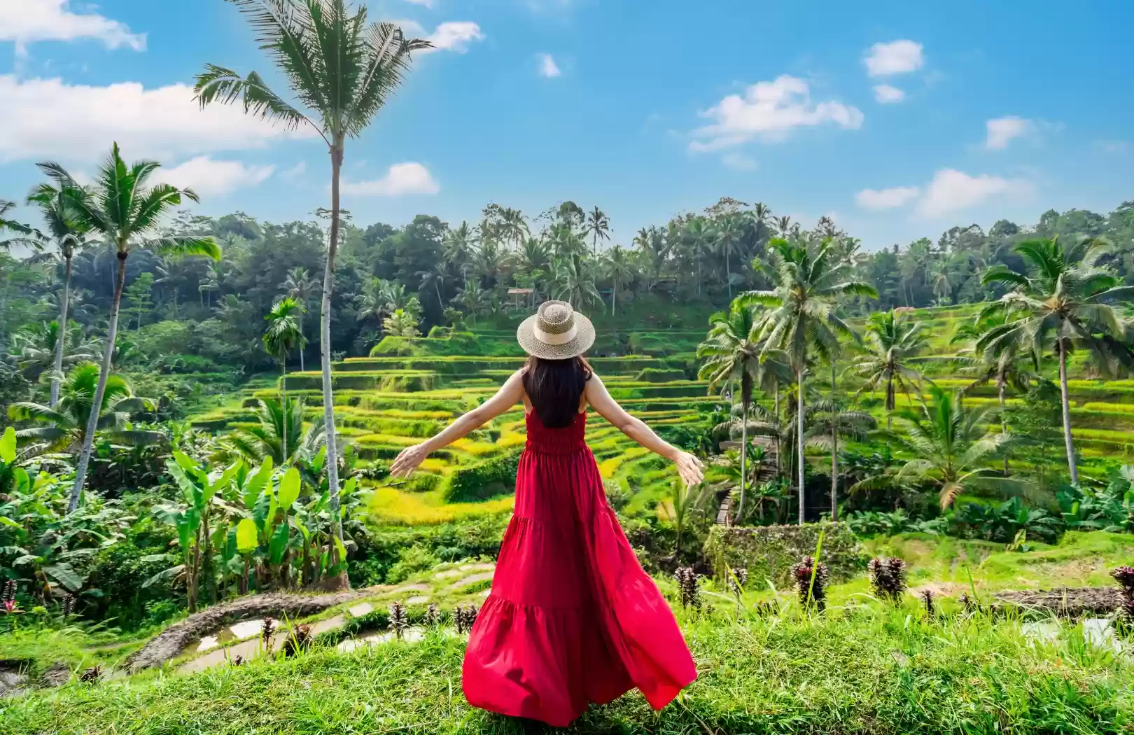 Ubud Highlights Tour - Temples, Waterfalls & Jungle Swing