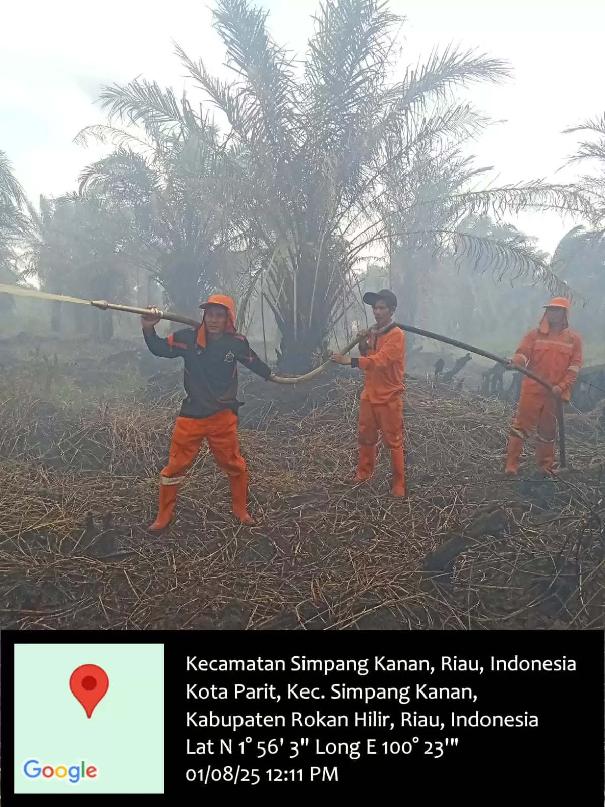 Puluhan Satgas BPBD Rohil Tanjap Gas Atasi Karhutla di Simpang Kanan 