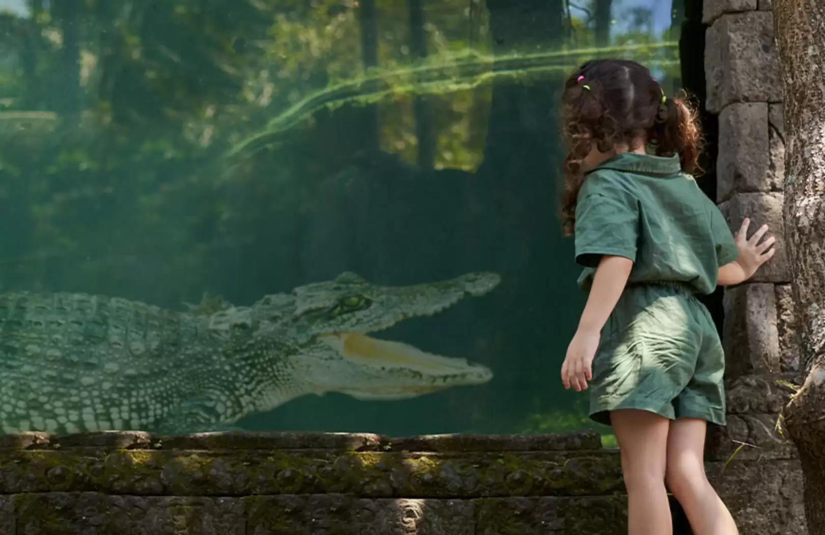 Bali Zoo Experience