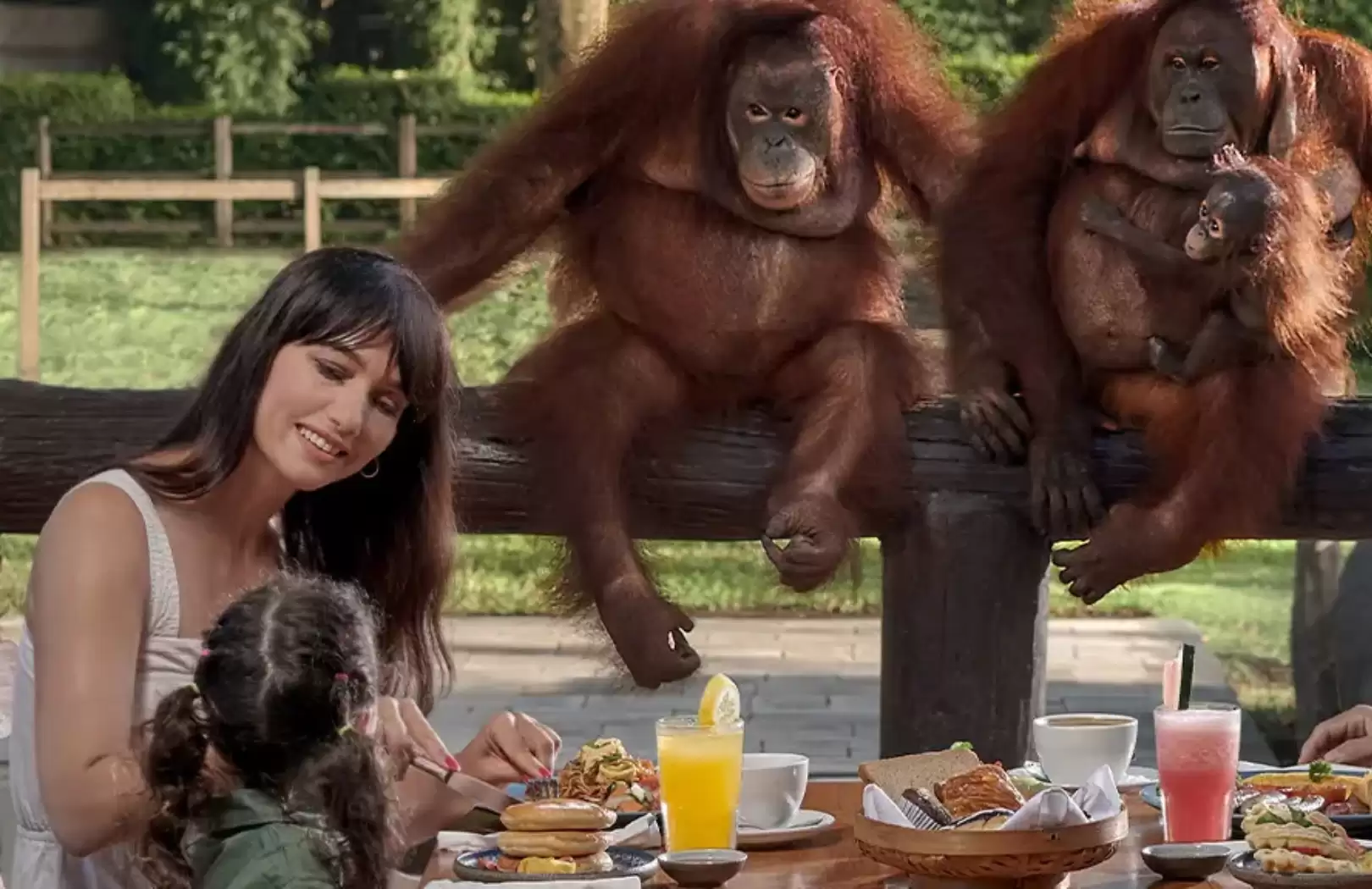 Bali Zoo Experience