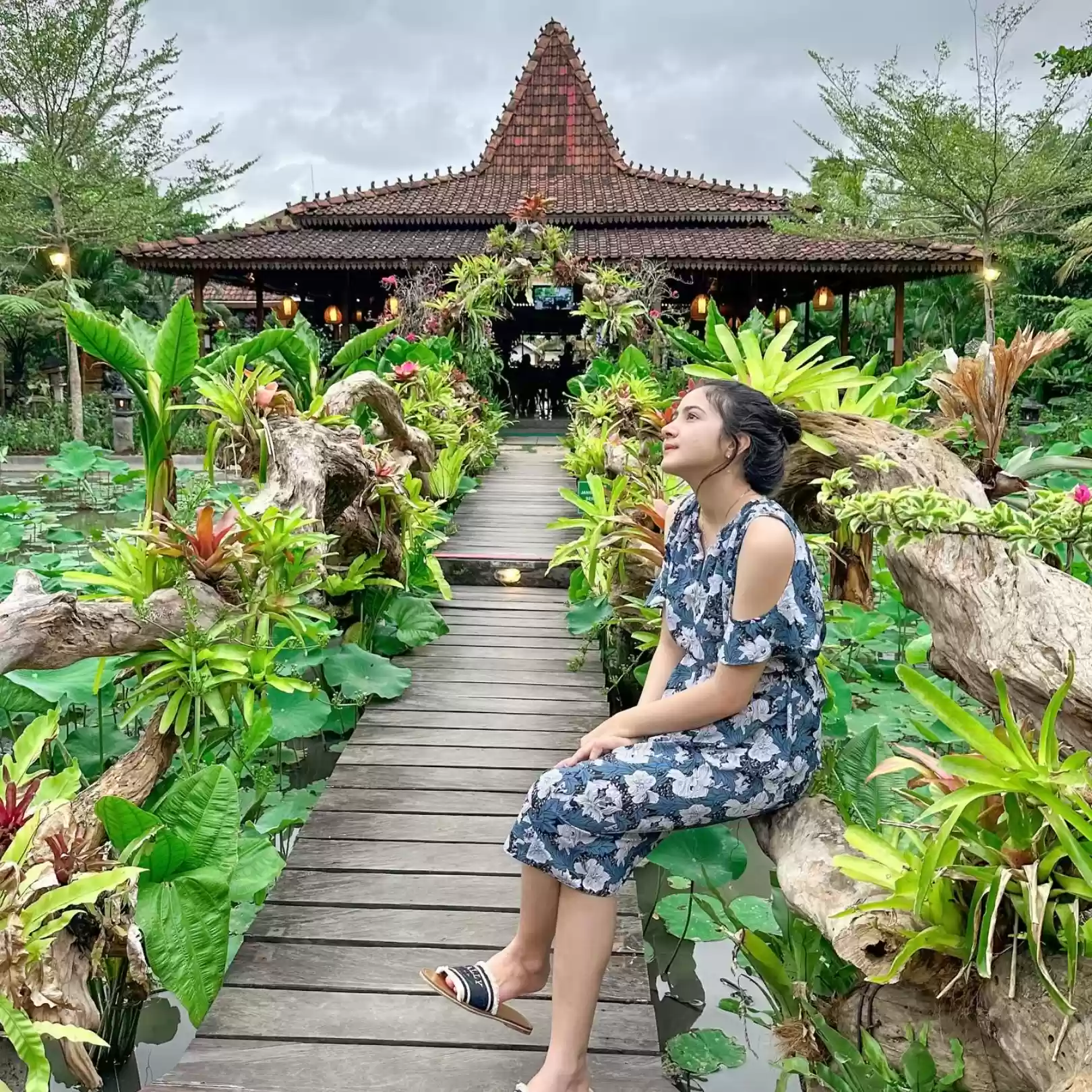 From Lotus Bridge to Rice Fields – Discover the Magic Corners of Wedja Bali