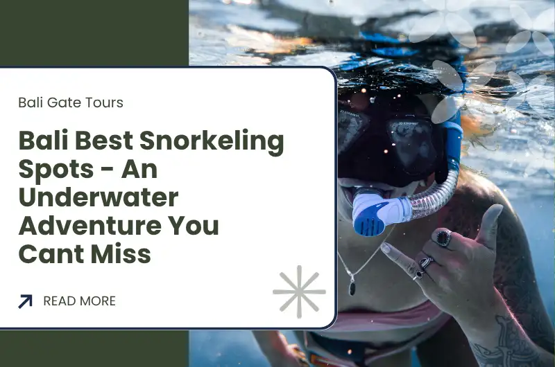Bali Best Snorkeling Spots - An Underwater Adventure You Cant Miss