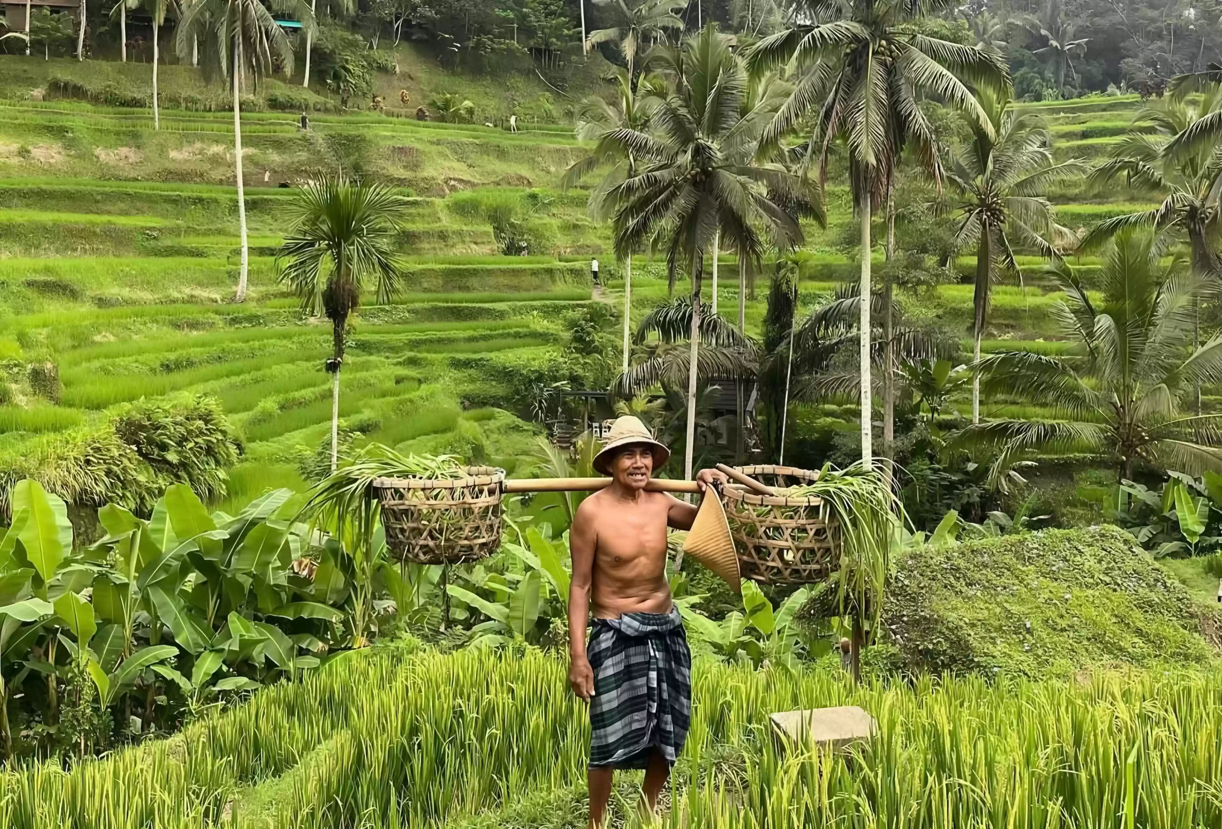 Ubud ATV Quad Biking, Monkey Forest & Rice Terrace Tour