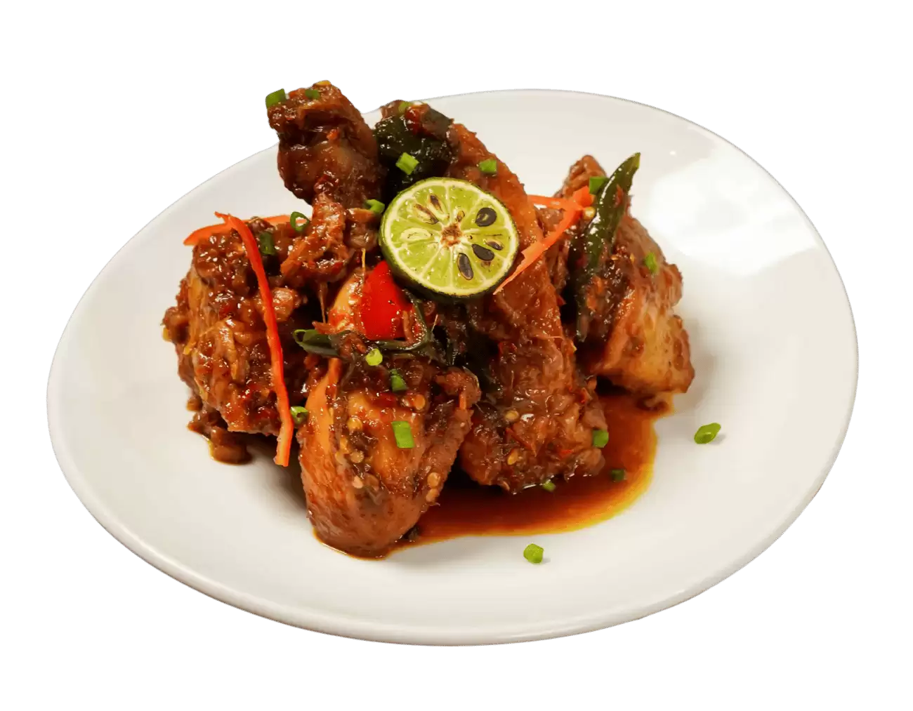 Javanese Chicken Stew