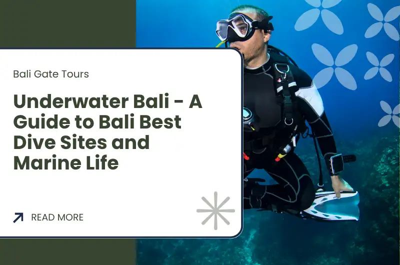 Underwater Bali - A Guide to Bali Best Dive Sites and Marine Life