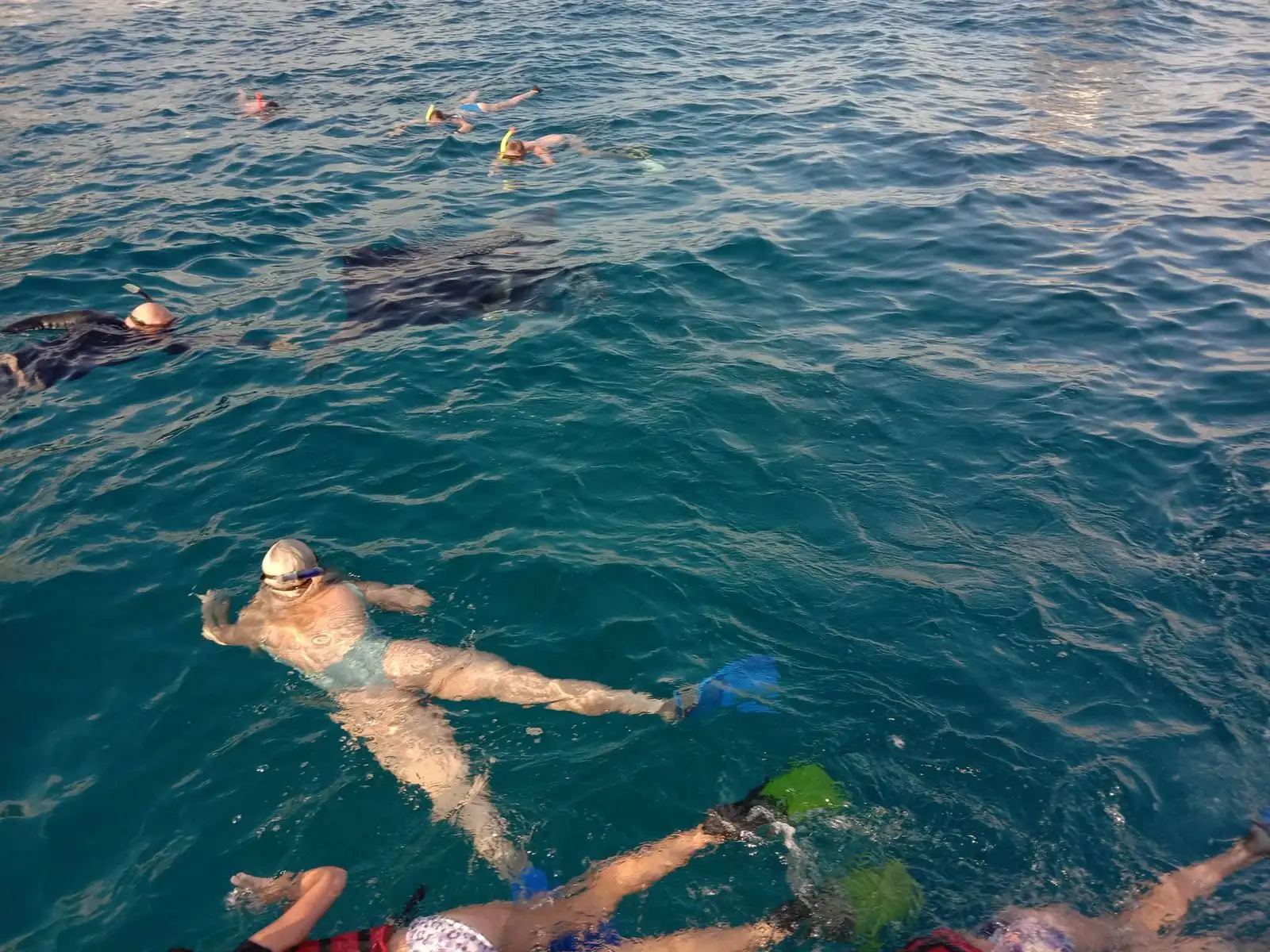 Snorkeling Trips