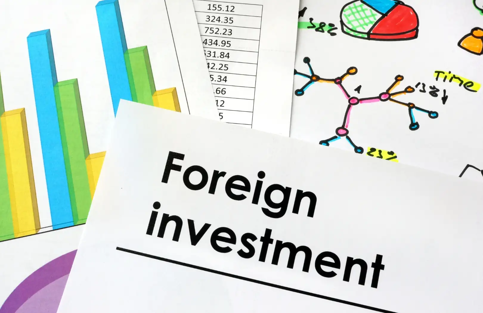 Foreign Investment Consultation (PMA)