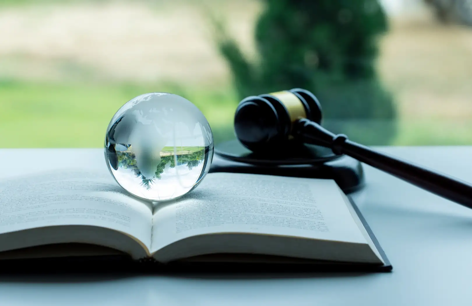 Forestry & Environmental Law
