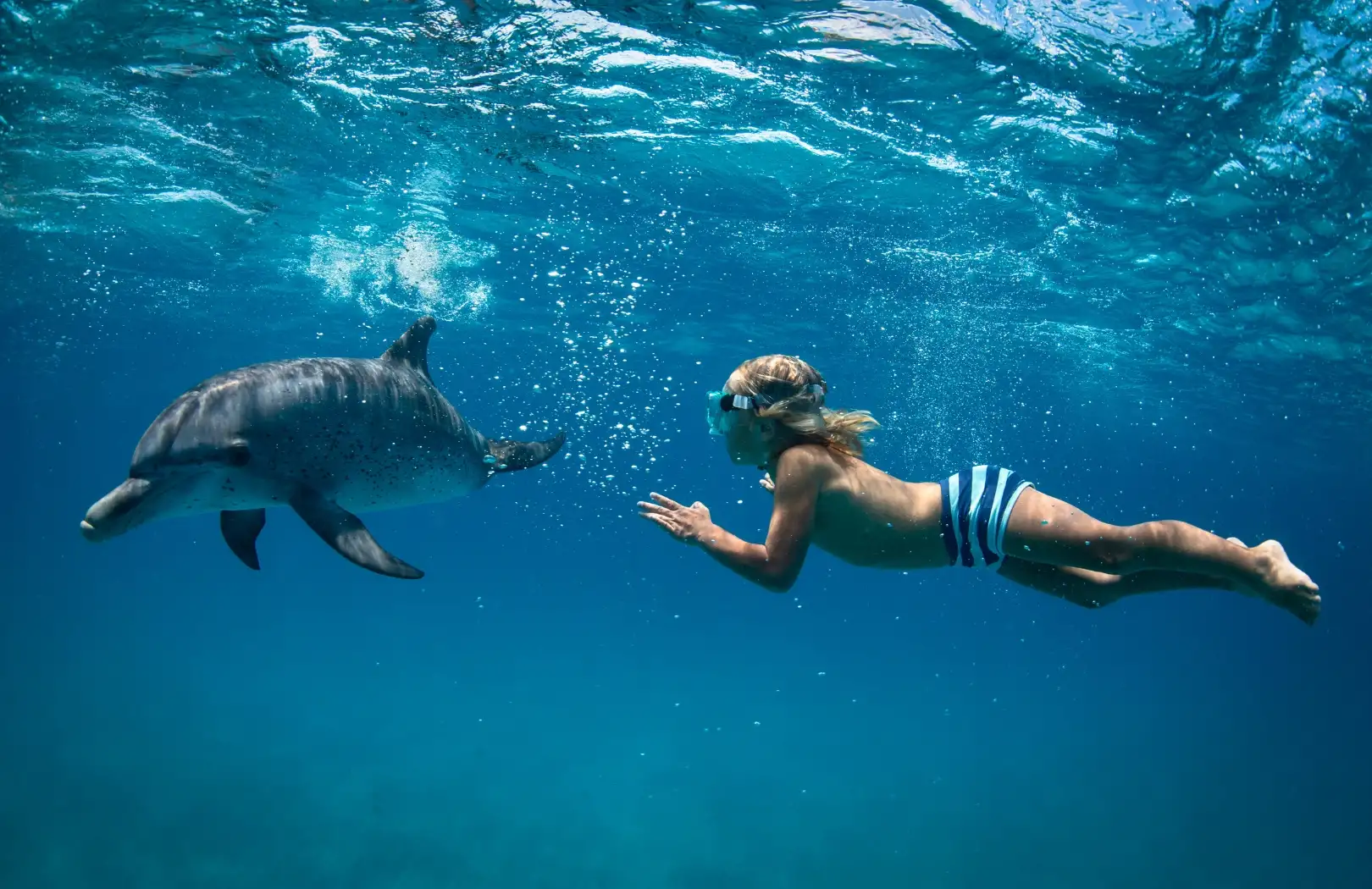 Paket Tour Bali 1 Hari Lovina