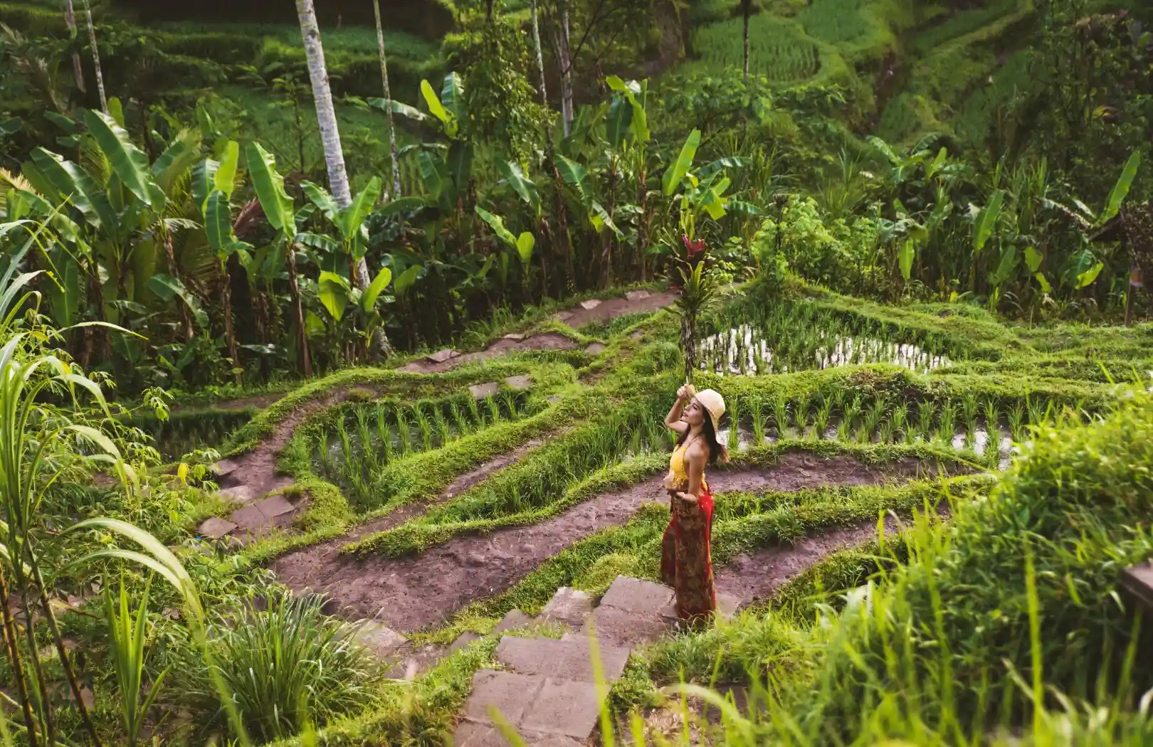Paket Tour Bali 1 Hari Ubud