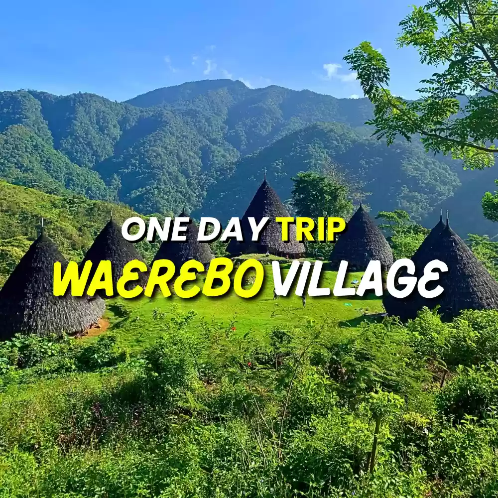 One Day Trip Desa Waerebo