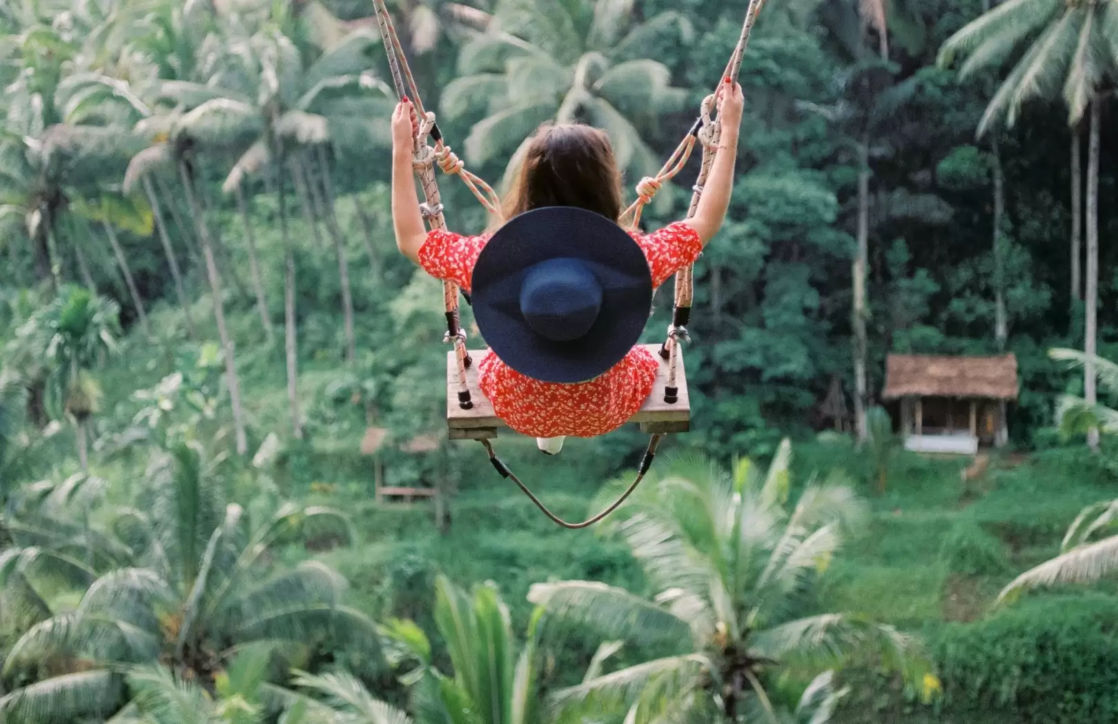 Bali Swing Tour