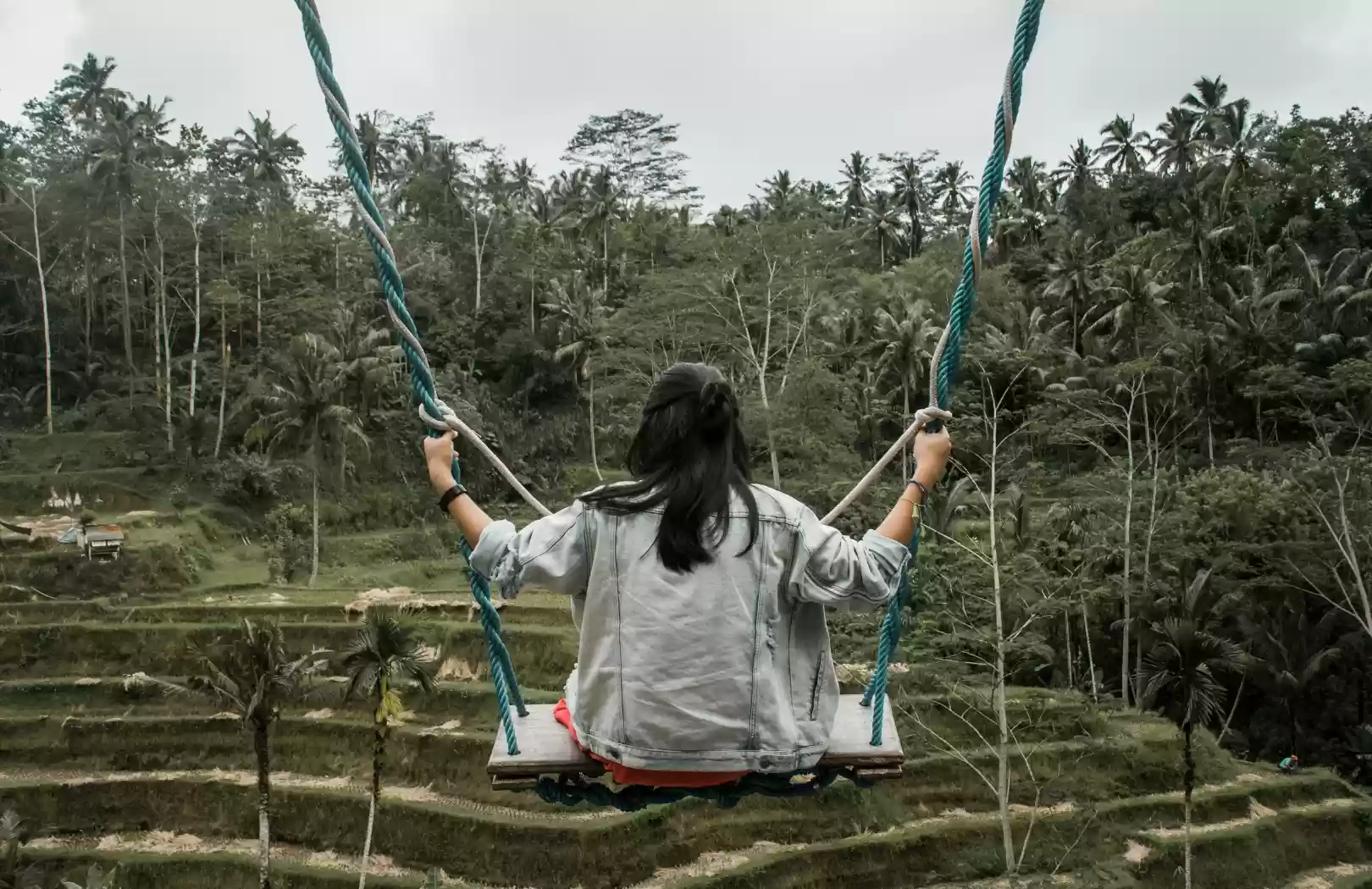Bali Swing Tour