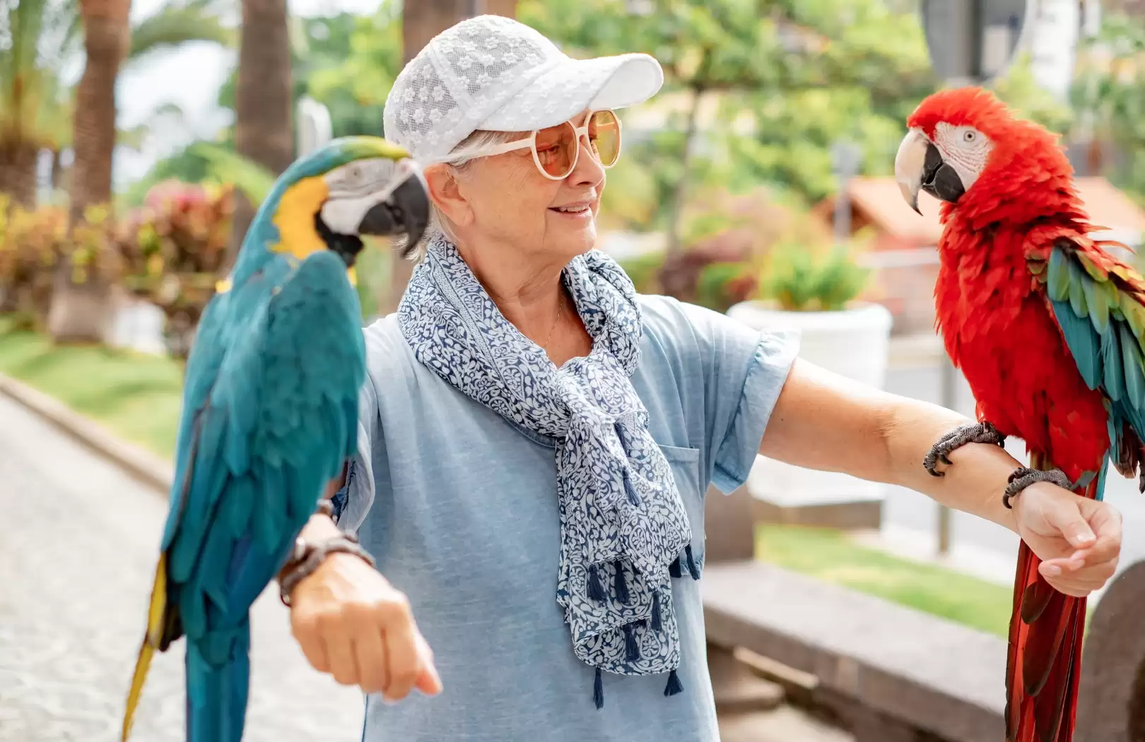 Bali Bird Park