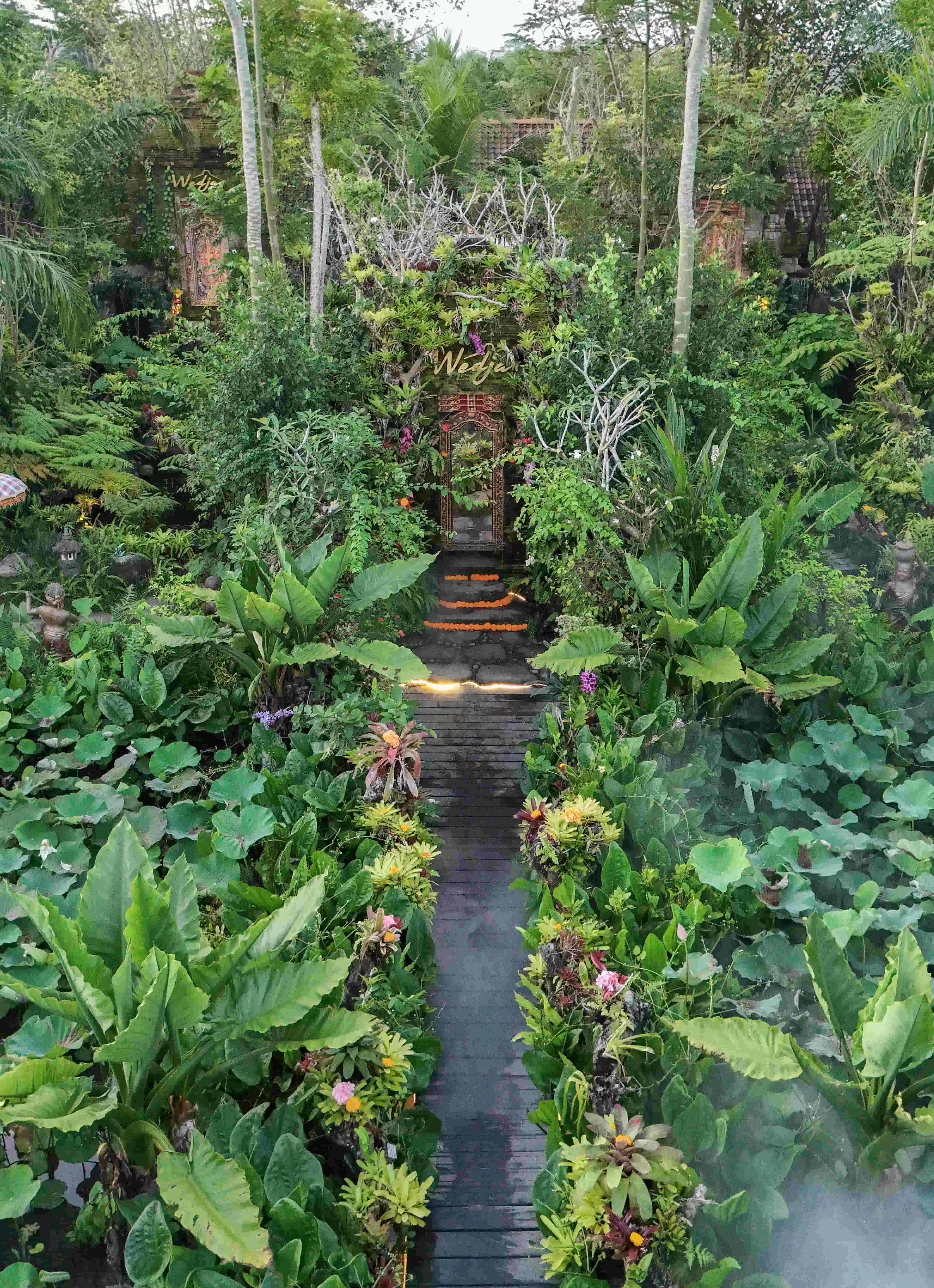 Path to Nature's Paradise