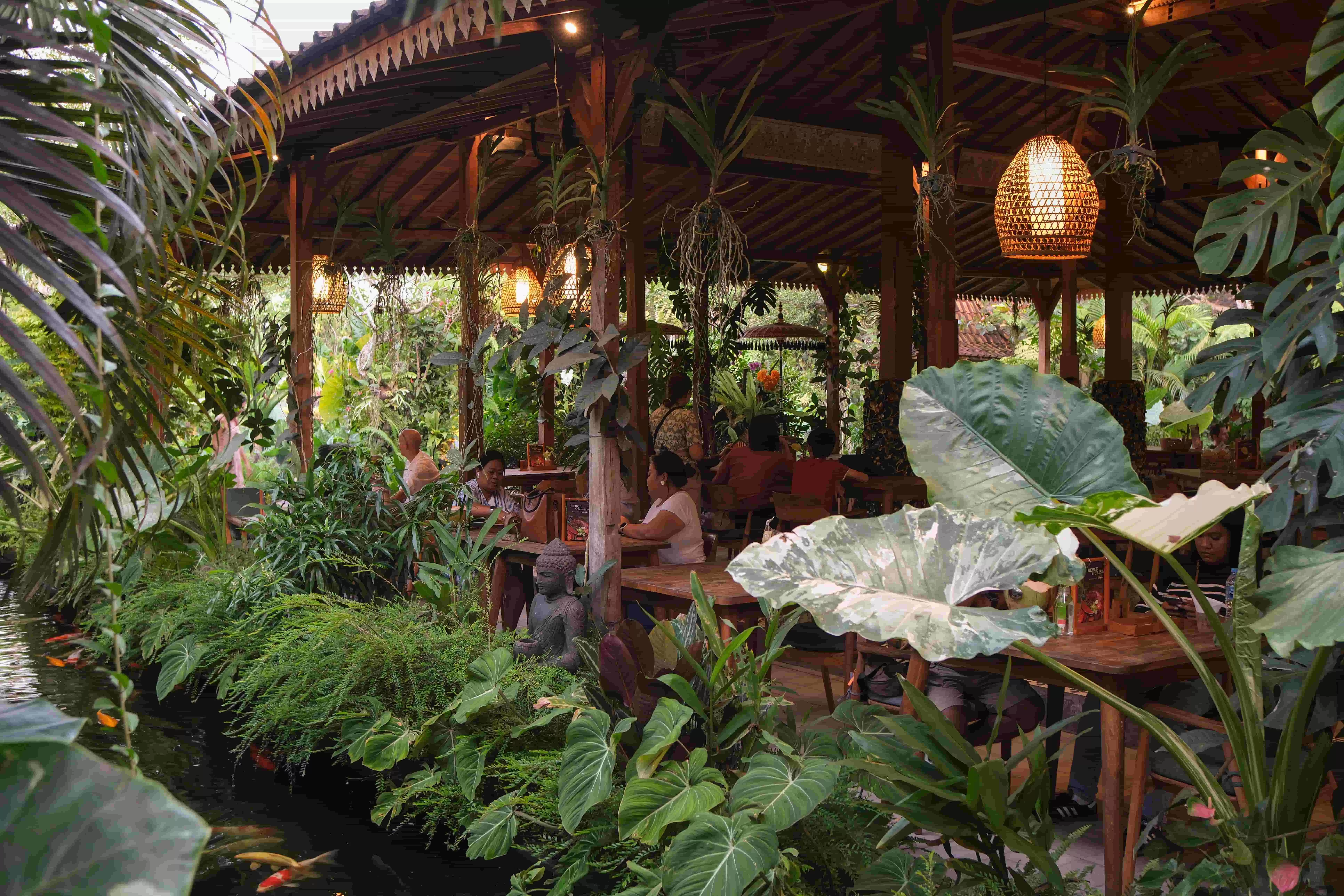 Feasting beside koi waters