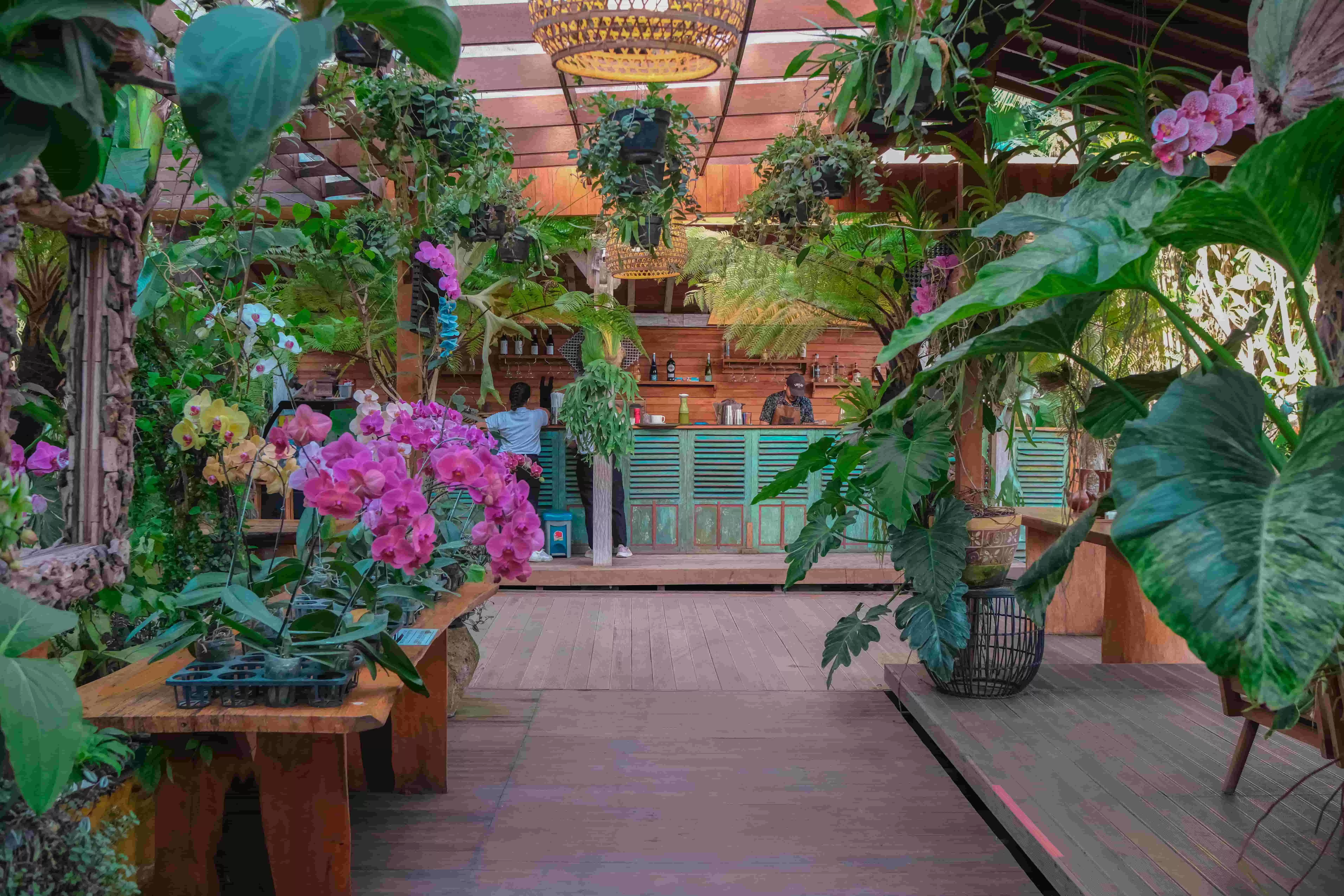 A Refreshing  Ambience