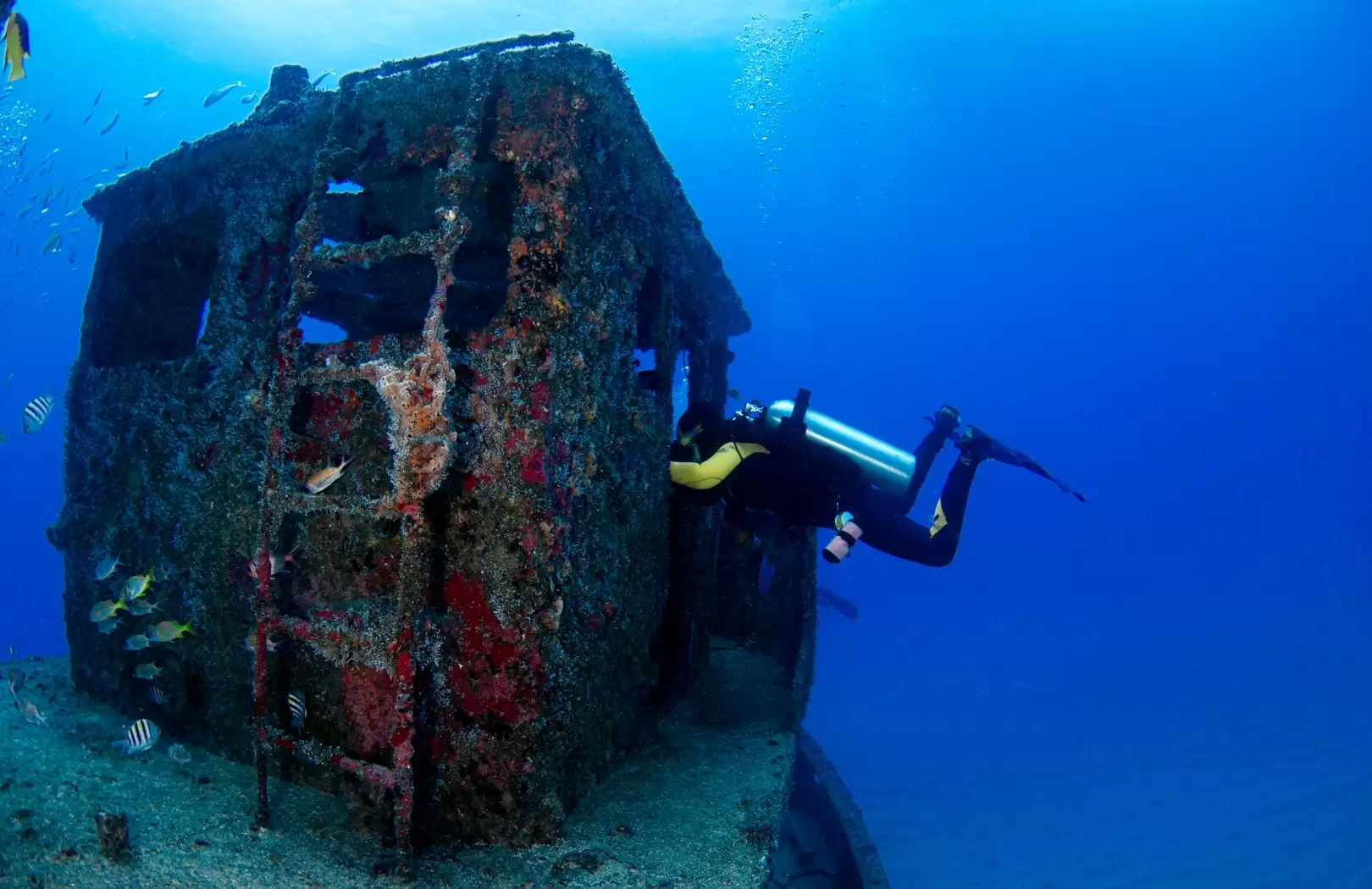 Best Dive Sites in Amed and Tulamben: Liberty Wreck, Coral Garden & More