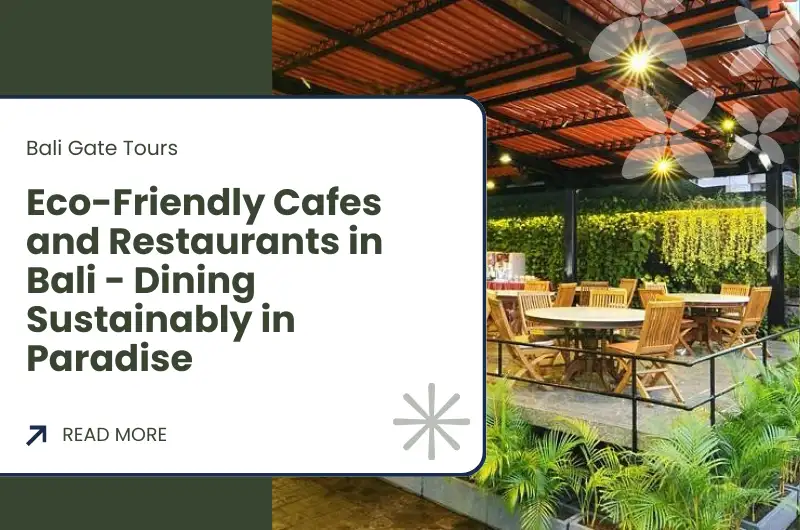 Eco-Friendly Cafes and Restaurants in Bali - Dining Sustainably in Paradise