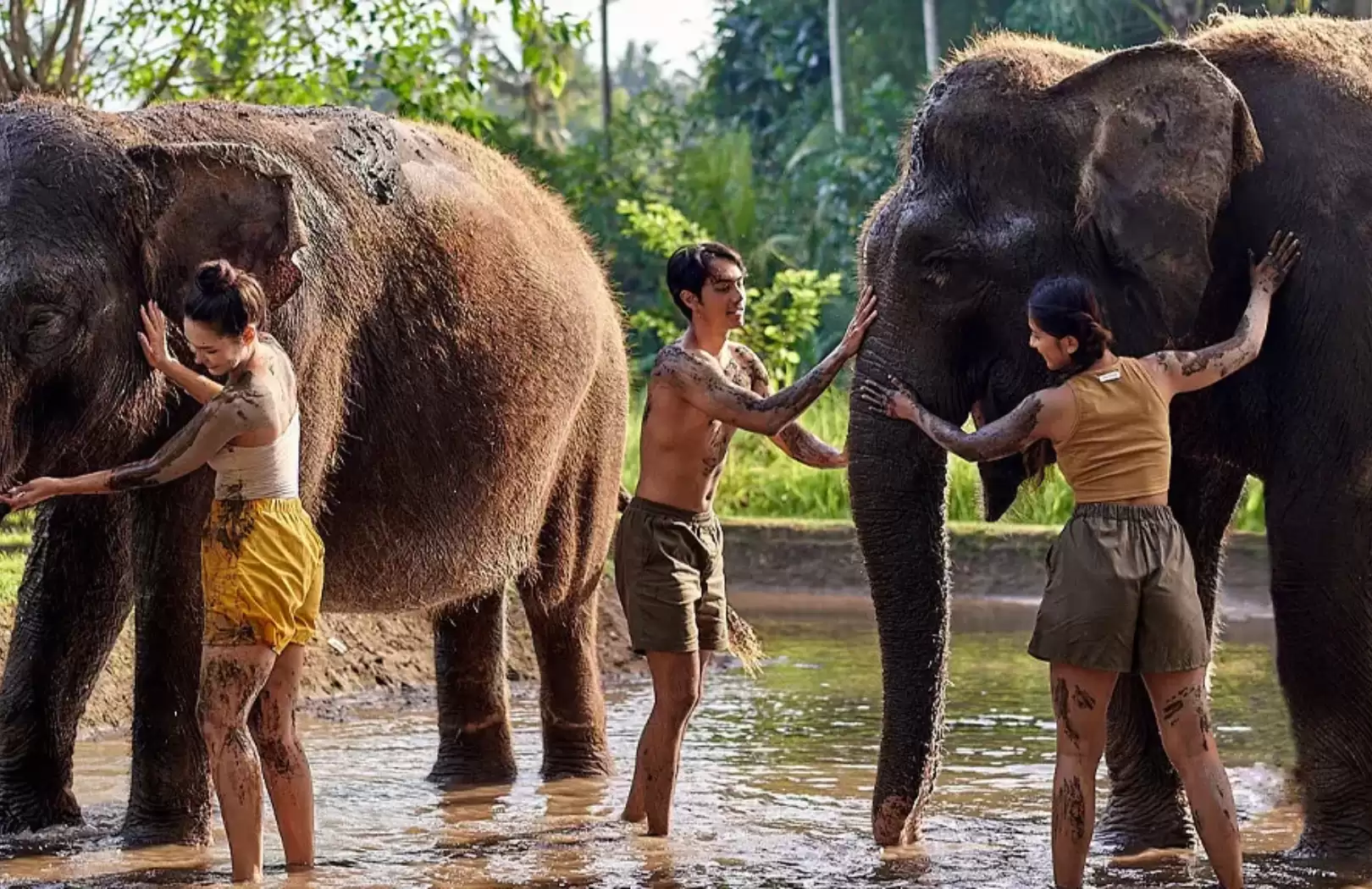 Top Combo Adventure Packages in Bali: From Rafting to Elephant Fun