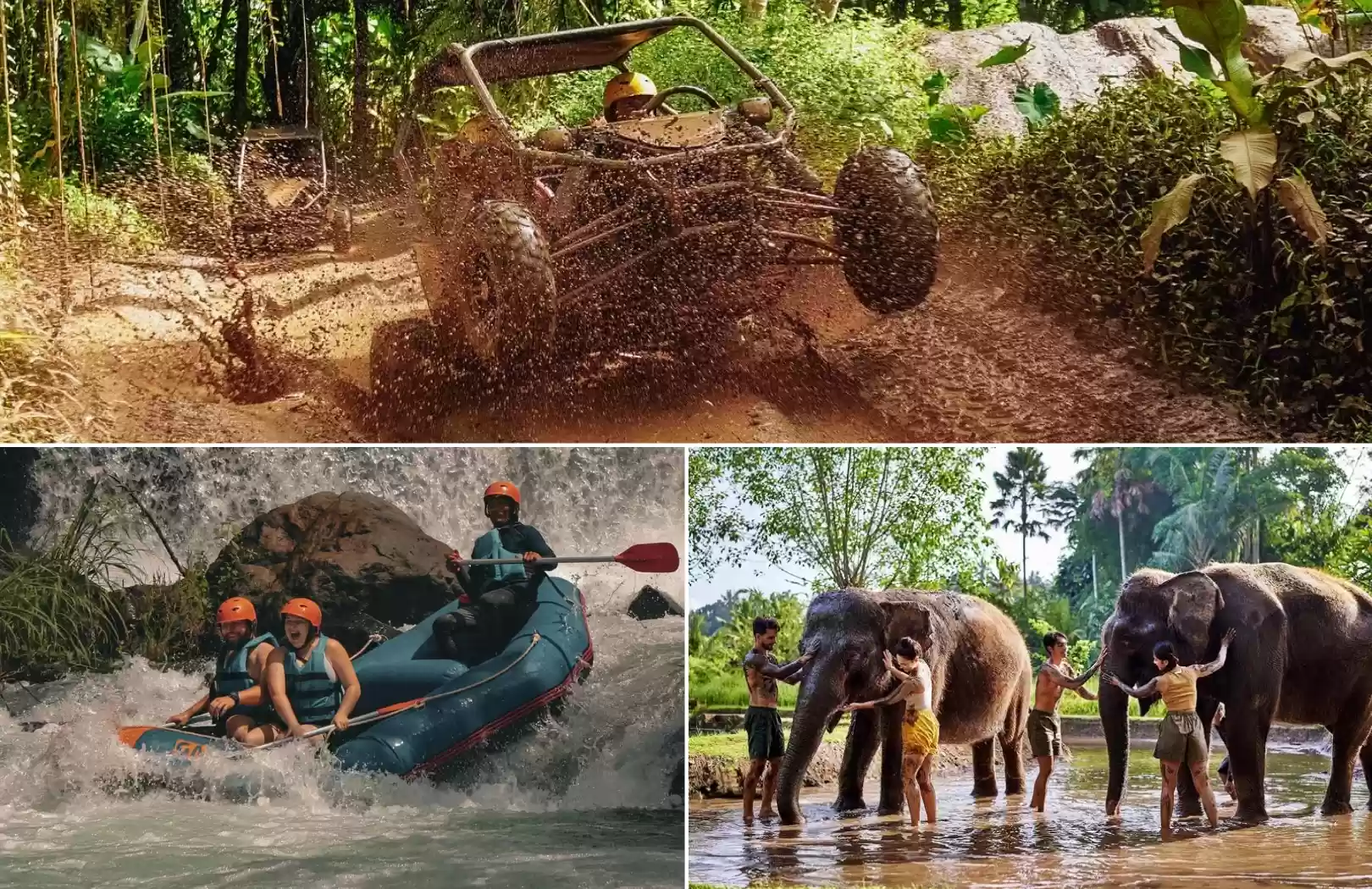 Jungle Buggy + Rafting + Elephant Mud Fun