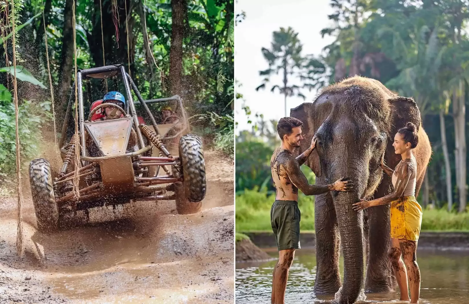 Jungle Buggy + Elephant Mud Fun