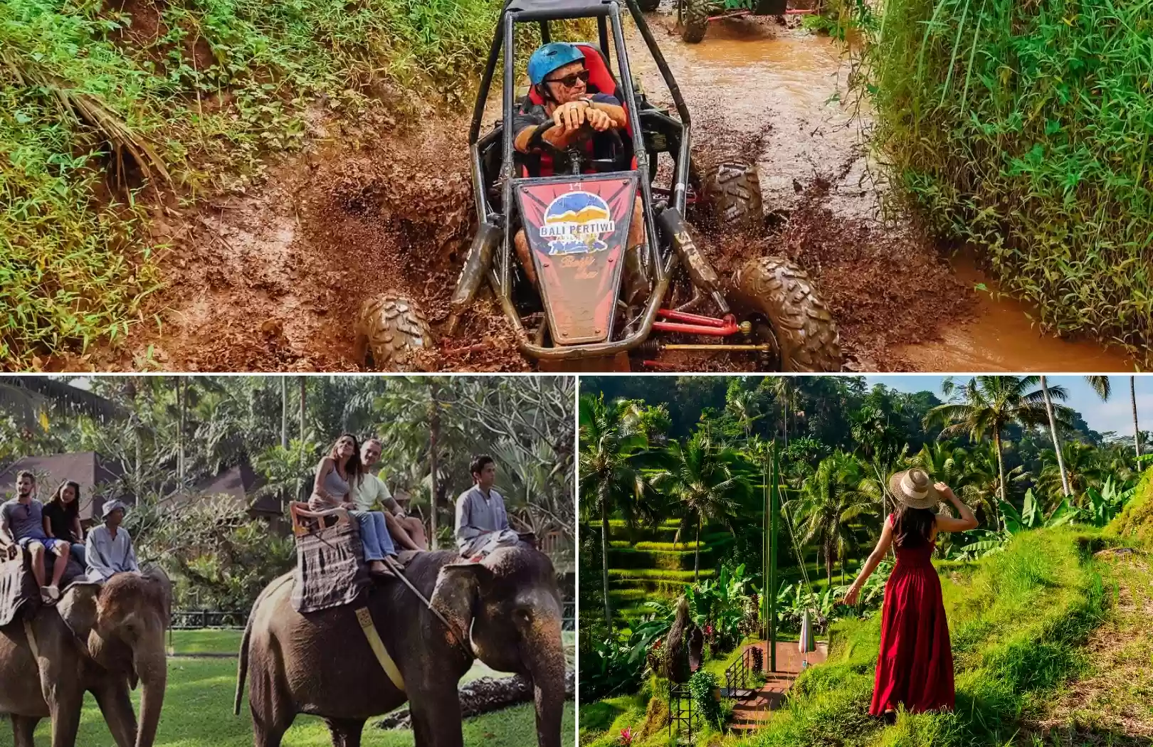 Jungle Buggy + Elephant Riding + Rice Terrace