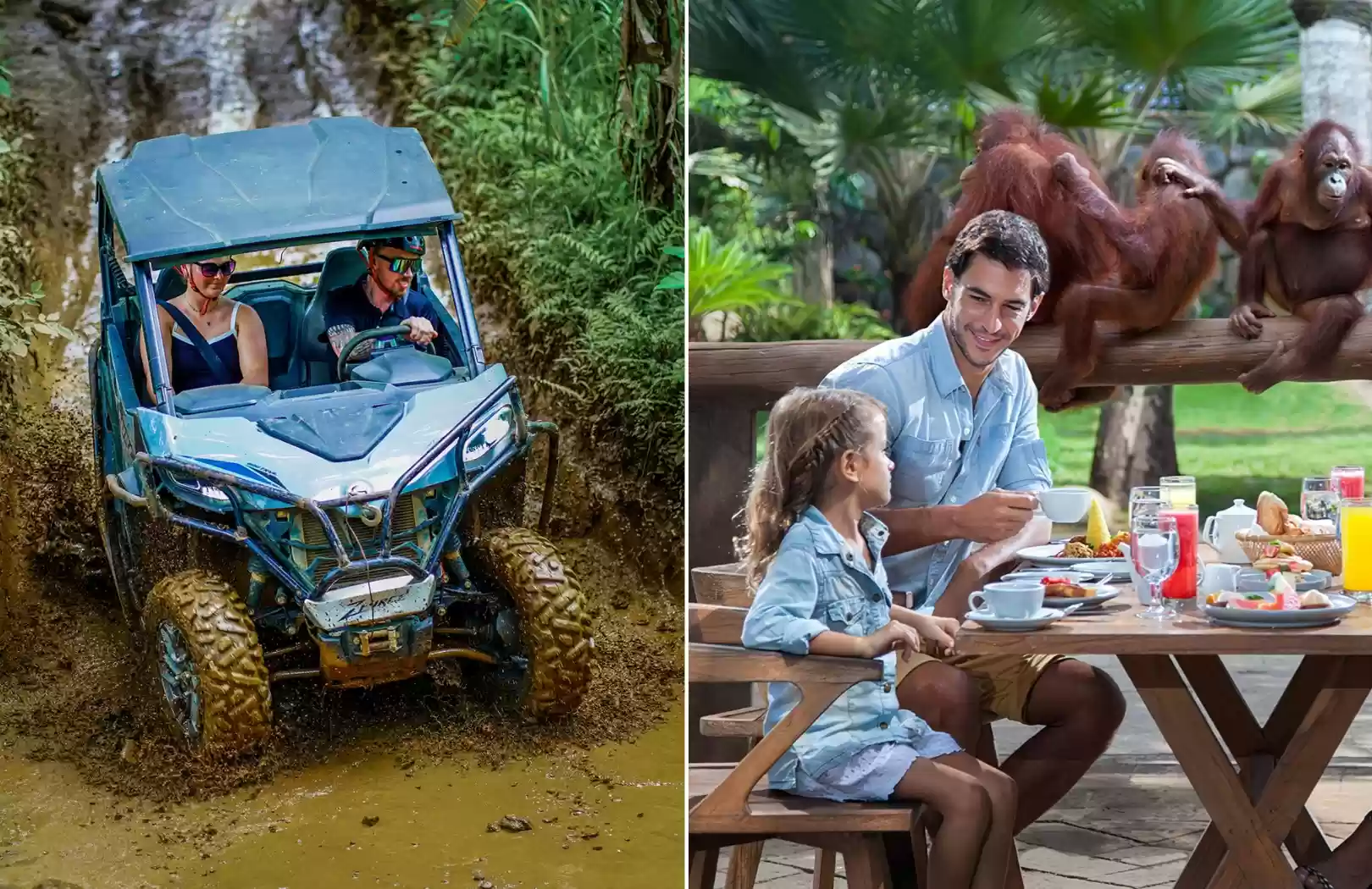 Jungle Buggy + Breakfast with Orangutan