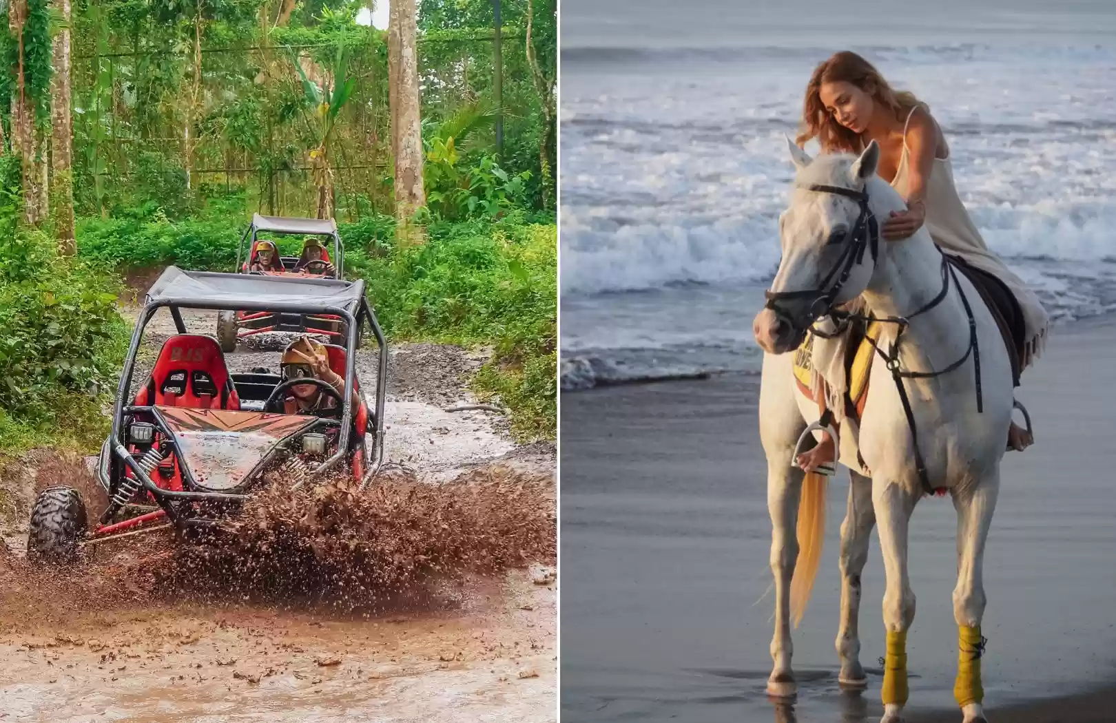 Jungle Buggy + Horse Riding 1 Hour