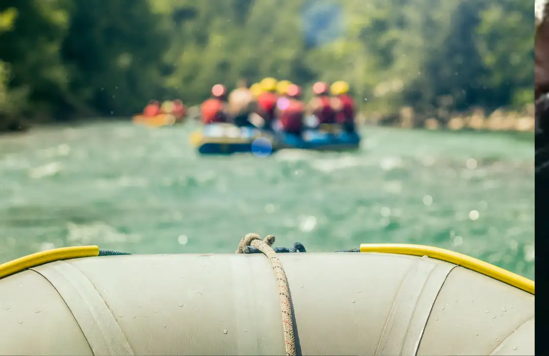 Bali Wildlife and Rapids Combo - Ayung River Rafting and Morning at Bali Zoo