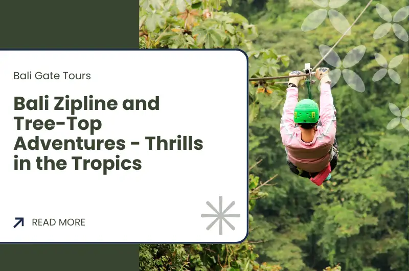 Bali Zipline and Tree-Top Adventures - Thrills in the Tropics